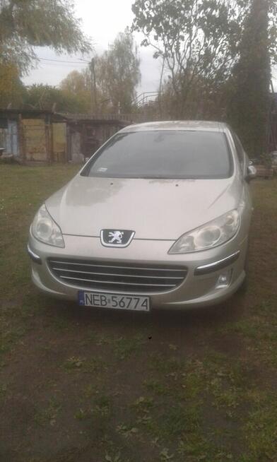 Peugeot 407 1.6 HDi Polift Malbork - zdjęcie 8