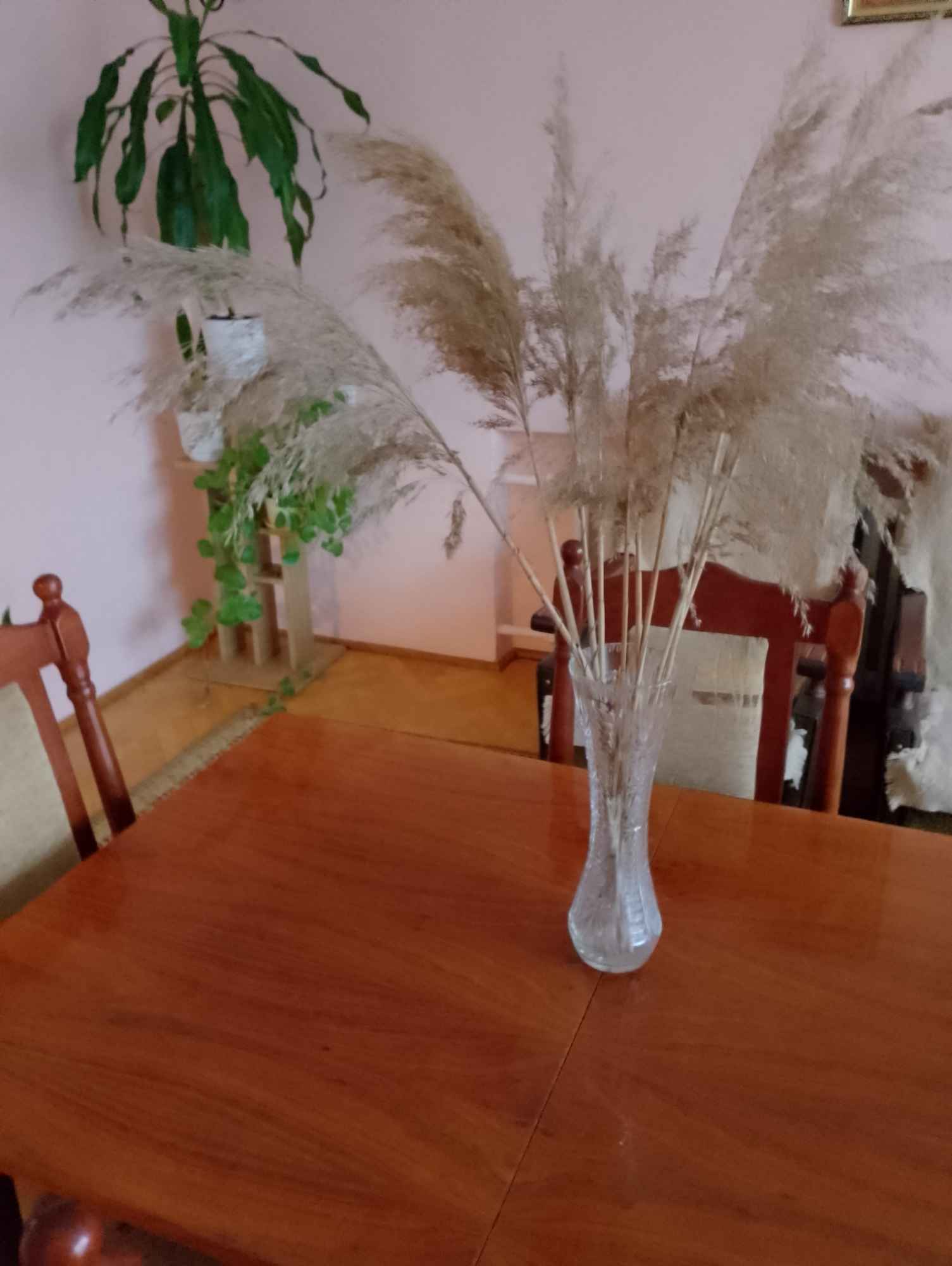 Do wynajęcia dom Rybie - zdjęcie 9