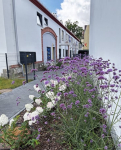 Piękny apartament w dworku na Krzykach/Wojszyce