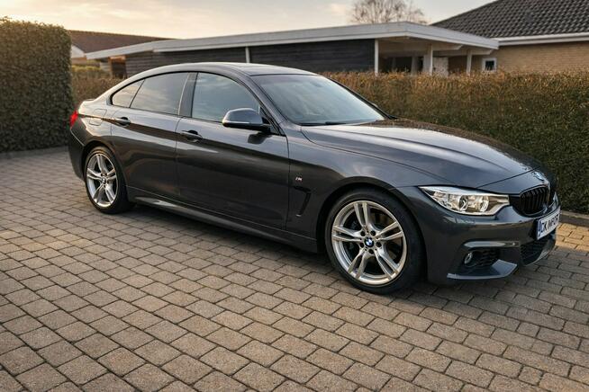 BMW 420 Sadlno - zdjęcie 1