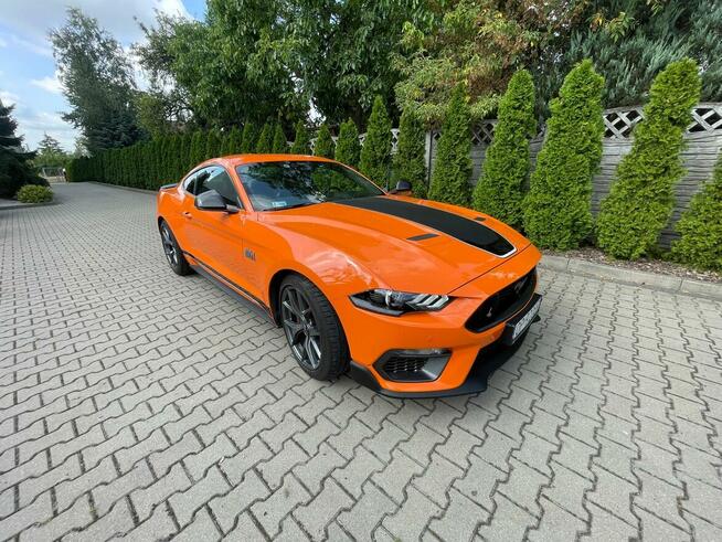 Mustang Ford sprzedam Poznań - zdjęcie 3