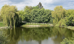 Stary Mokotów, Kamienica Park Warszawa - zdjęcie 5