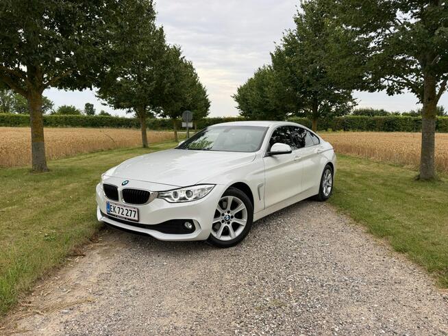 BMW 420 Sadlno - zdjęcie 1