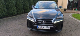 Sprzedam Lexus NX300H Gryfice - zdjęcie 3