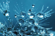 Woda plazmowana Nanowoda na oczyszczenie organizmu 5l Bemowo - zdjęcie 3