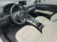 Serwis ASO, Salon Polska, Mazda Grupa Wróbel Długołęka - zdjęcie 12