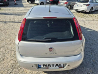 Fiat Punto Tylko 83.000 Km Super Stan Lift Bydgoszcz - zdjęcie 12
