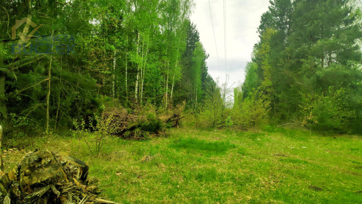 Sprzedam działkę rolną w Juliopolu 12 ha Juliopol - zdjęcie 4