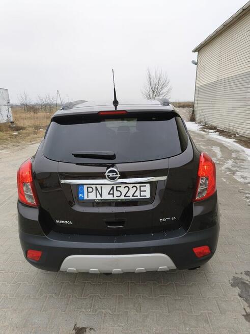 Opel Konin - zdjęcie 4