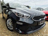 Kia Ceed 1.4 TGDI VISION 140km hak LED kamera NAVI asystent SERWI 2020 Tychy - zdjęcie 2