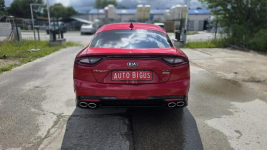 Kia Stinger AWD zarejestrowana GT Lębork - zdjęcie 5