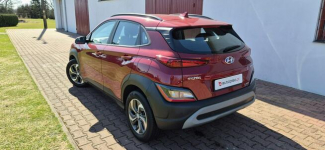 Hyundai Kona HYBRYDA-LED-AUTOMAT Paproć - zdjęcie 6