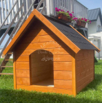 Buda dla psa Rozmiar "M" - Pinia - Dach dwuspadowy ID833 Kielce - zdjęcie 11