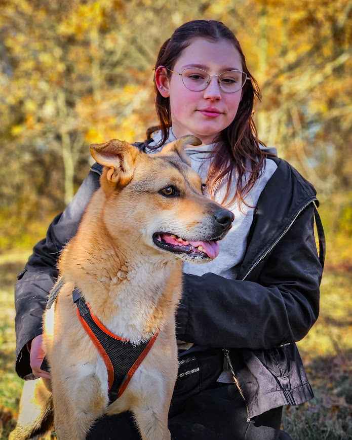 CYNAMON - oddany z adopcji jak niepotrzebna zabawka, POMOCY! Widzew - zdjęcie 8