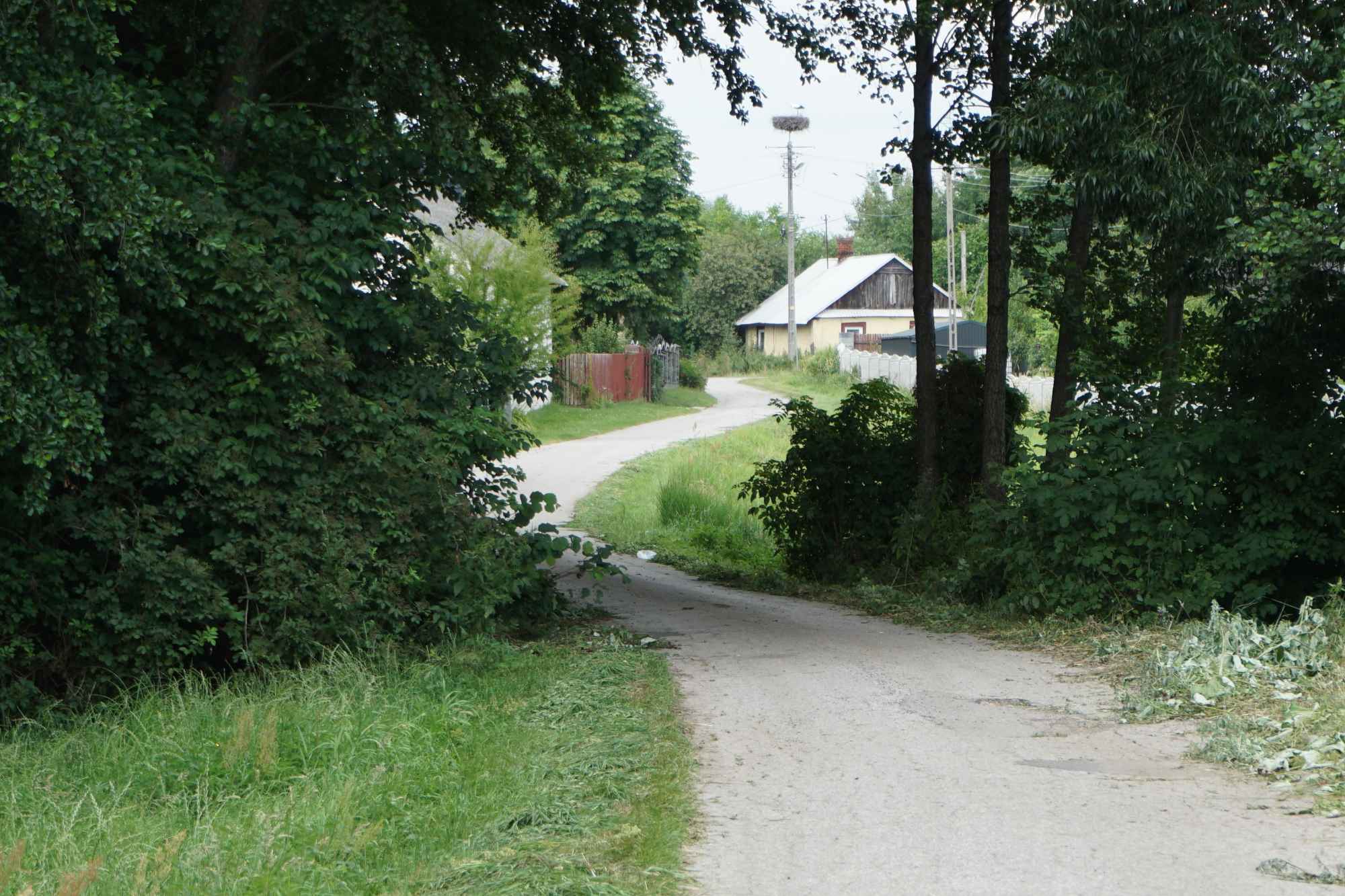 Siedlisko pod Adamowem pow. łukowski woj. lubelskie Lublin - zdjęcie 9