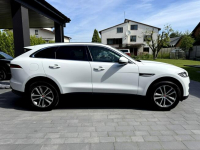 Biały Jaguar Salon Polska Końskie - zdjęcie 7