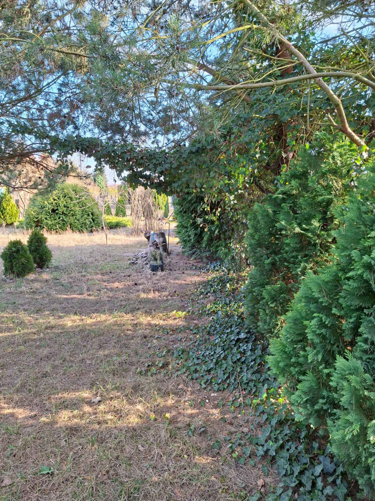 Sprzedam dzialkę ROD 4-marca Stargard Stargard - zdjęcie 4