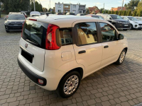 Fiat Panda !! Rezerwacja !! Orzech - zdjęcie 6