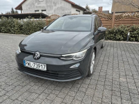 Volkswagen Golf VIII 2.0 Orginalny Niski przebieg - Radary Wolsztyn - zdjęcie 10