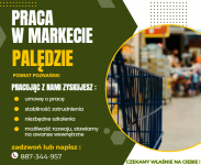 PRACA W MARKECIE PALĘDZIE