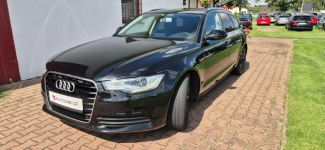 Audi A6 AUTOMAT-NAVI-LED-MEDIA Paproć - zdjęcie 3