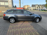 Škoda Octavia 2.0 TDi 150KM Klimatronic Navi Łuków - zdjęcie 3