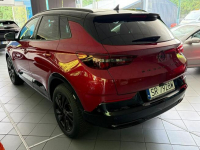 Opel Grandland X GS/17669 km/zarejestrowany/2 klucze/pierwszy lakier Rybnik - zdjęcie 5
