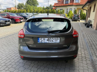 Ford Focus 1,5 150KM  Rej.01/2016  Klimatronik Orzech - zdjęcie 8