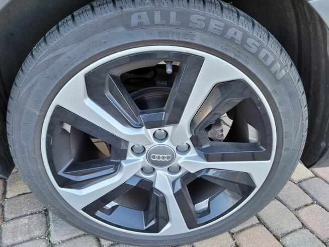 Sprzedam Turek - zdjęcie 2