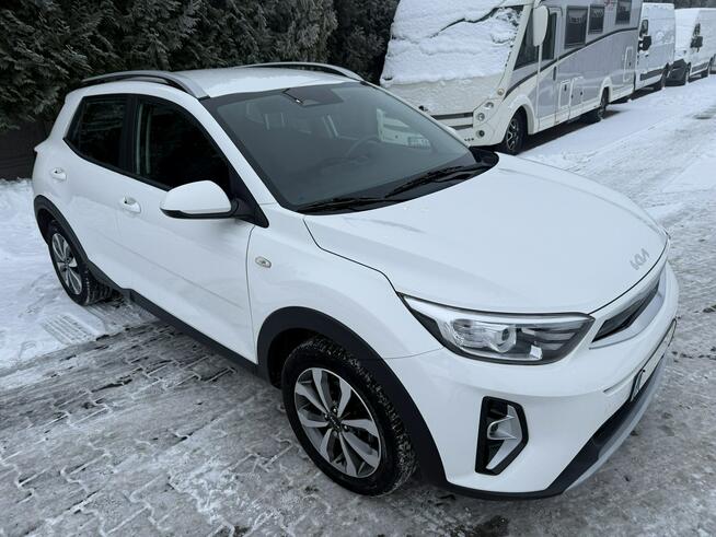 Kia Stonic Zielona Łąka - zdjęcie 4