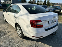 Škoda Octavia Nowe Iganie - zdjęcie 7