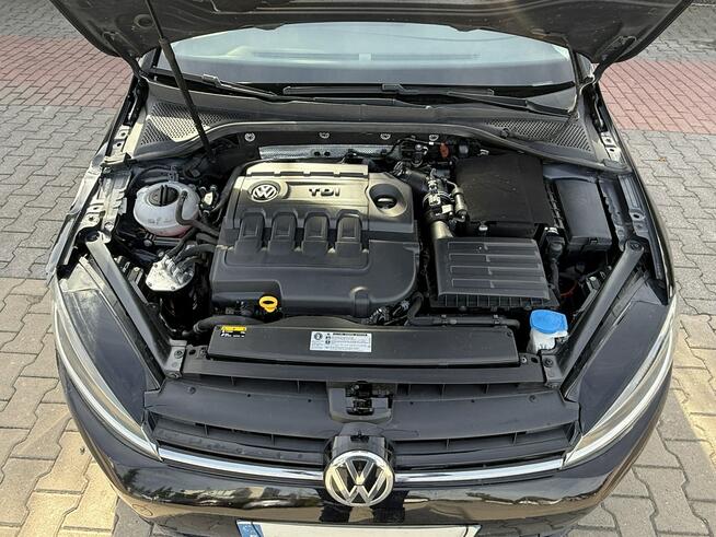 Volkswagen Golf Zielona Łąka - zdjęcie 10