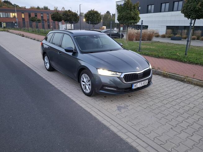 *Skoda*Octavia*Salon PL*2,0 TDI*Ambition*Virtual*Led*Kamera* Grunwald - zdjęcie 1