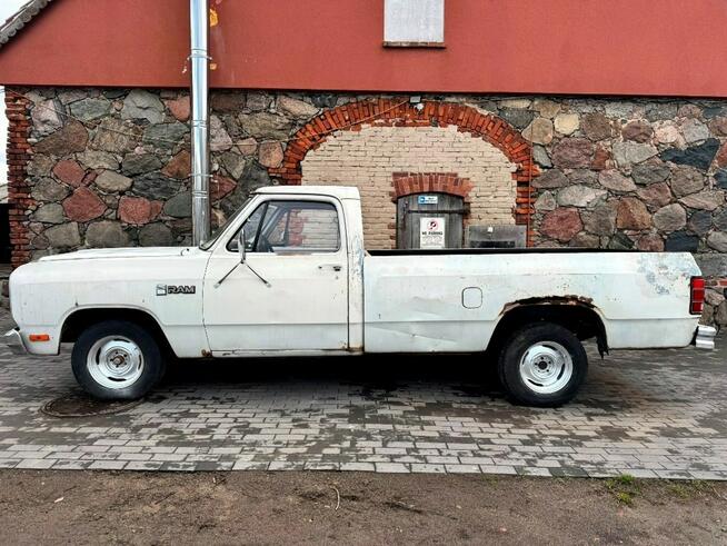 Dodge Ram Pickup Short Krótki Pali 5200 cm3 TANIO Sulechów - zdjęcie 4