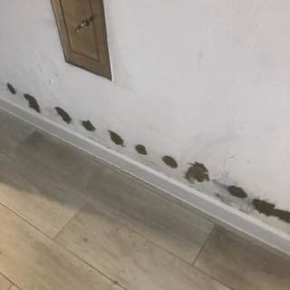 iniekcja krystalicza podciaganie kapilarne wilgotne sciany Cała Polska Gdańsk - zdjęcie 6