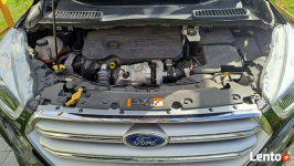 Ford Kuga 1,5 Diesel 2019 Biała Podlaska - zdjęcie 7