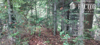 Stróżówka, las 0,95 ha, 1152S/2025