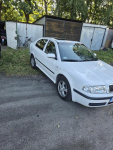 Skoda octavia 1.9tdi Ustka - zdjęcie 5