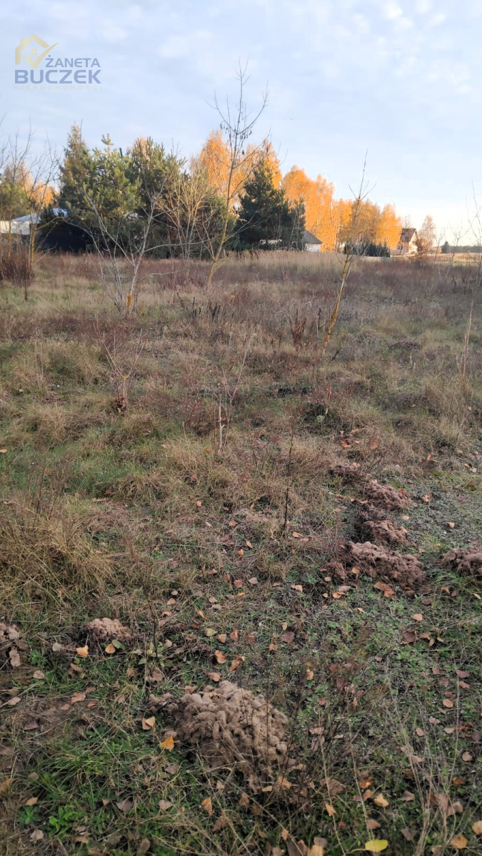 Sprzedam działki budowlane w Nowych Mostkach Nowe Mostki - zdjęcie 1