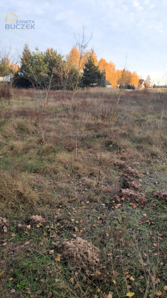 Sprzedam działki budowlane w Nowych Mostkach Nowe Mostki - zdjęcie 1