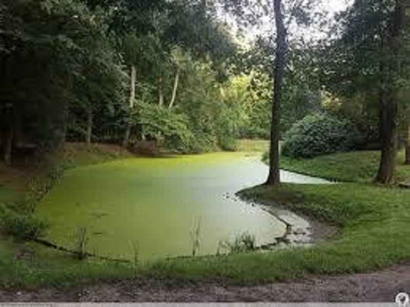 1pok, 33met, Okolice Majchra PIWNICA/blisko AOW (Wrocław) Fabryczna - zdjęcie 10