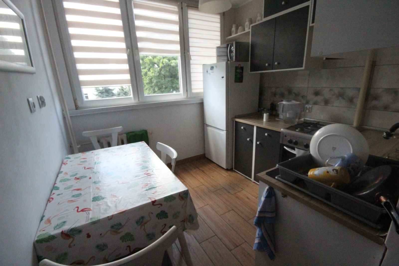 Pokój (15 met) okolice Chojnowskiej (Wrocław) Stare Miasto - zdjęcie 4