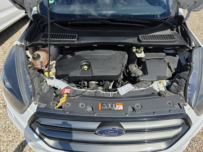 Ford Kuga 2.0 180ps 4x4 Navi Led Kamera Cofania ST-LINE Gwarancja Gniezno - zdjęcie 12
