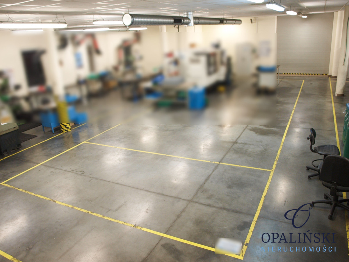 Osobny budynek | Produkcja | Magazyn | Handel | Świlcza - zdjęcie 2