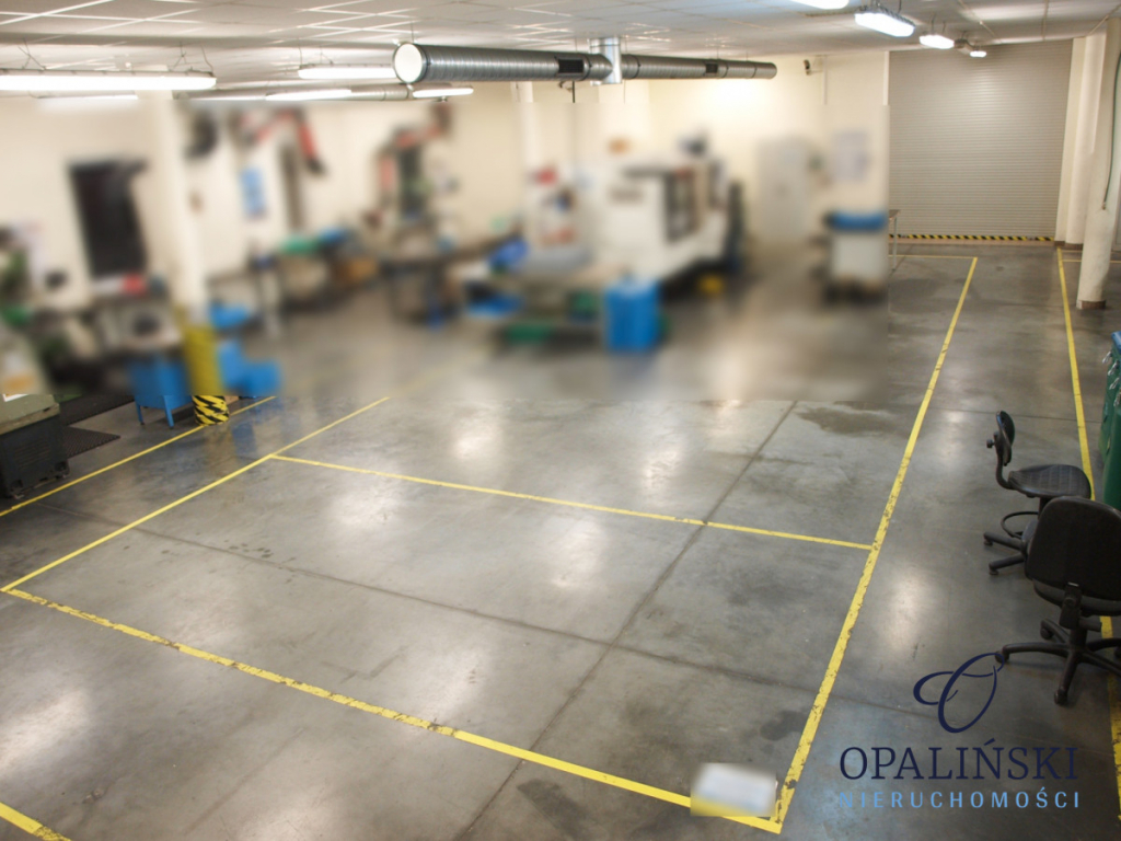 Osobny budynek | Produkcja | Magazyn | Handel | Świlcza - zdjęcie 2