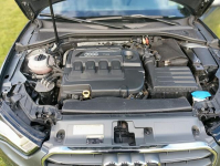 sprzedam do negocjacji Błaszki - zdjęcie 11