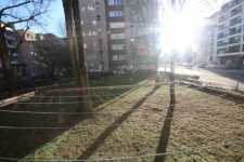 2pok, 39met, okolice Ogrodu Botaniczego PIWNICA/KOMÓRKA (Wrocław) Śródmieście - zdjęcie 12