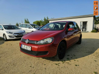 Volkswagen Golf 1.6 103 KM KLIMA, ELEKTRYKA, TEMPOMAT, PARKTRONIK Strzegom - zdjęcie 1