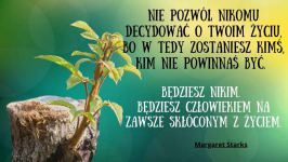 Konsultacje Recall Healing,TBiologia, Hipnoterapia, Life Coaching Pruszków - zdjęcie 5