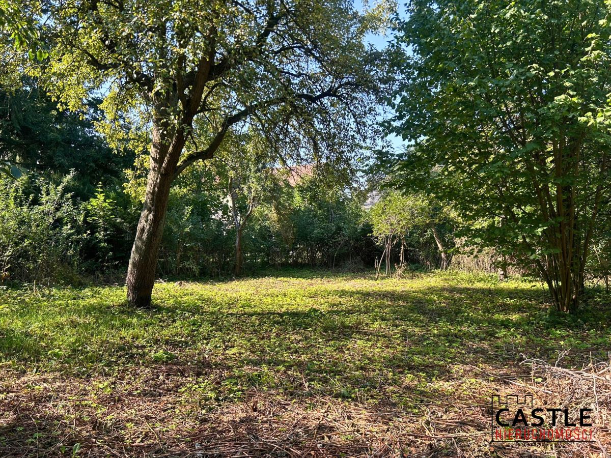 Historia z przyszłością - wyjątkowa willa z 1912 Nowy Tomyśl - zdjęcie 3